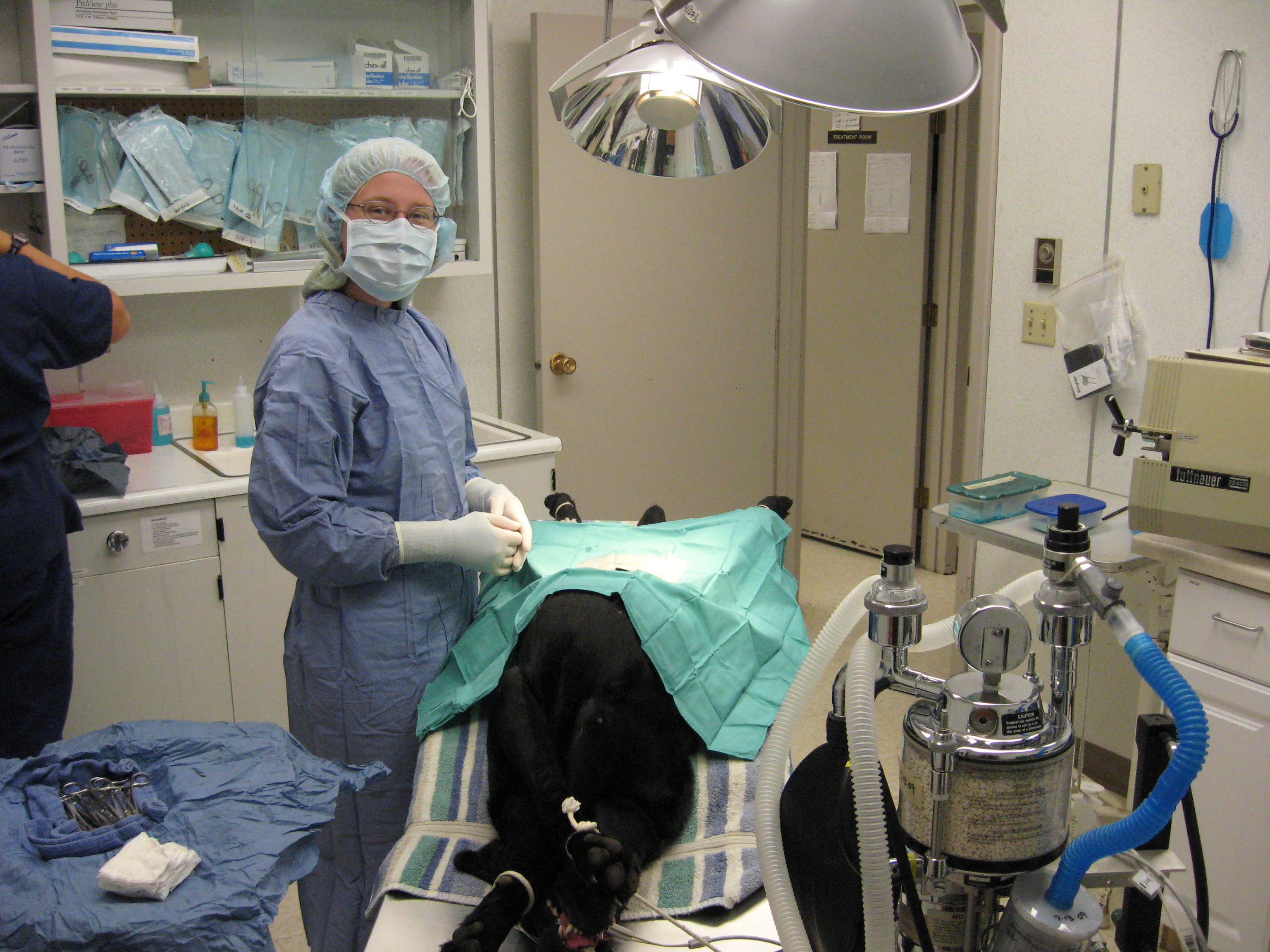 Dr. Sackett prepares for a OVH surgery at Valley Veterinary Hospital