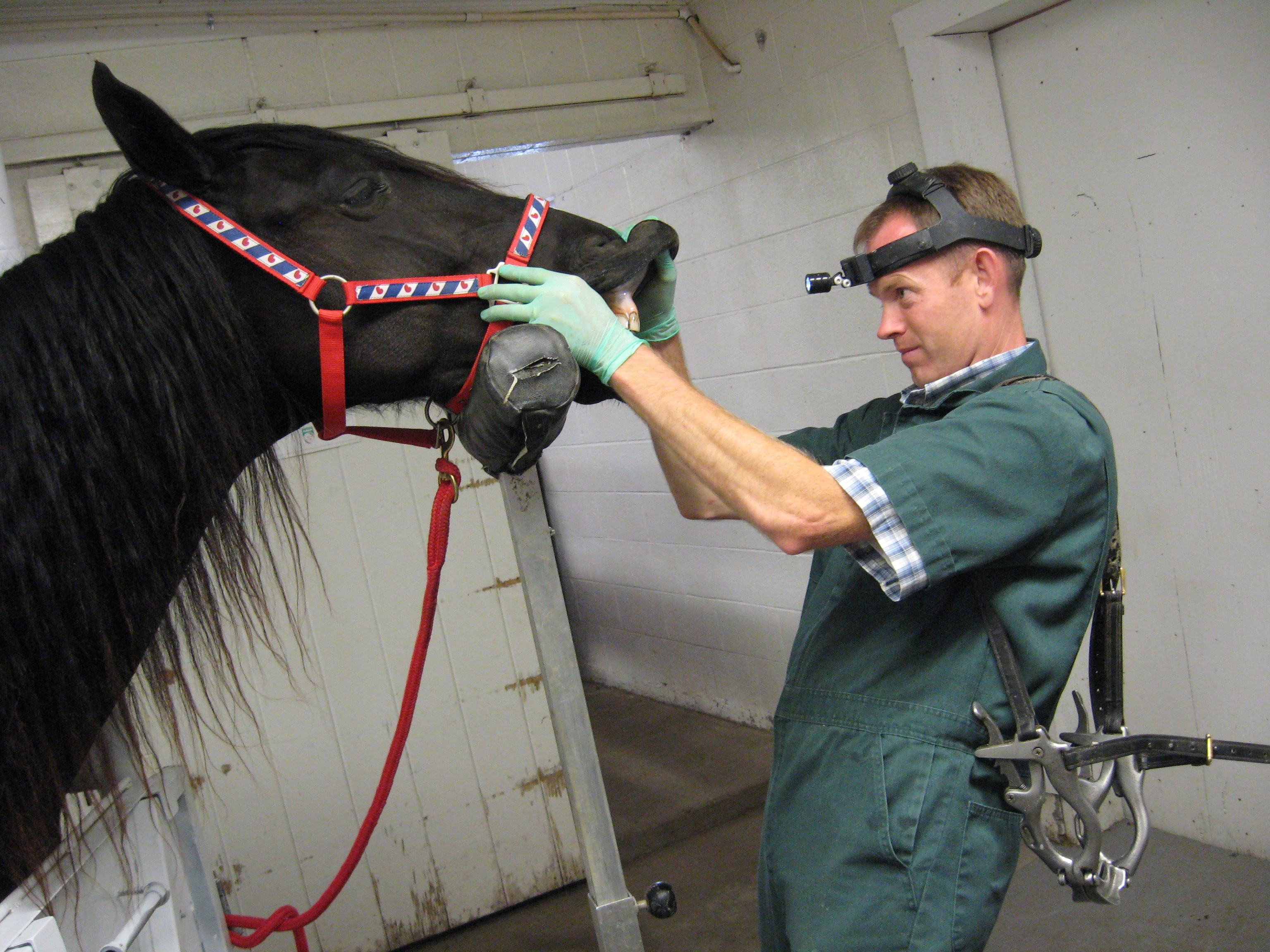 Dr. Hayden starting his exam on a float patient