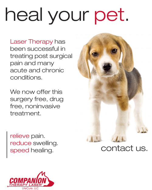 Companion Laser Cascade To Columbia Veterinary Services Ellensburg Wa