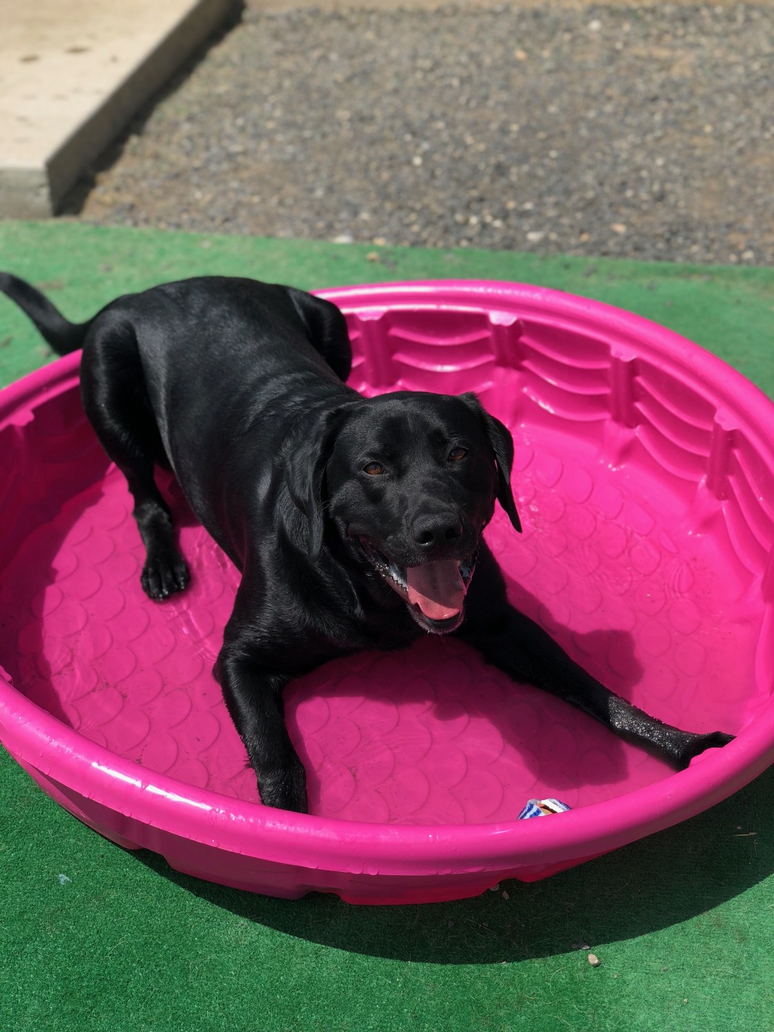 griffey pool