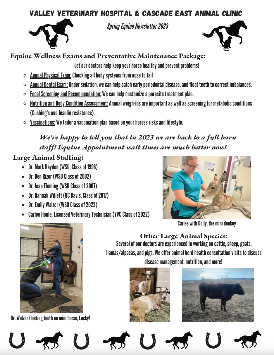 Click to Print the Newsletter