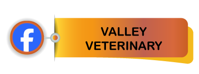 Valley Veterinary Facebook